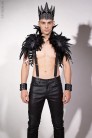 Мужской карнавальный костюм Raven Prince (221017) - оригинальная одежда