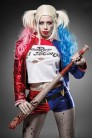 Harley Quinn Costume MS8096 (118096) - 3