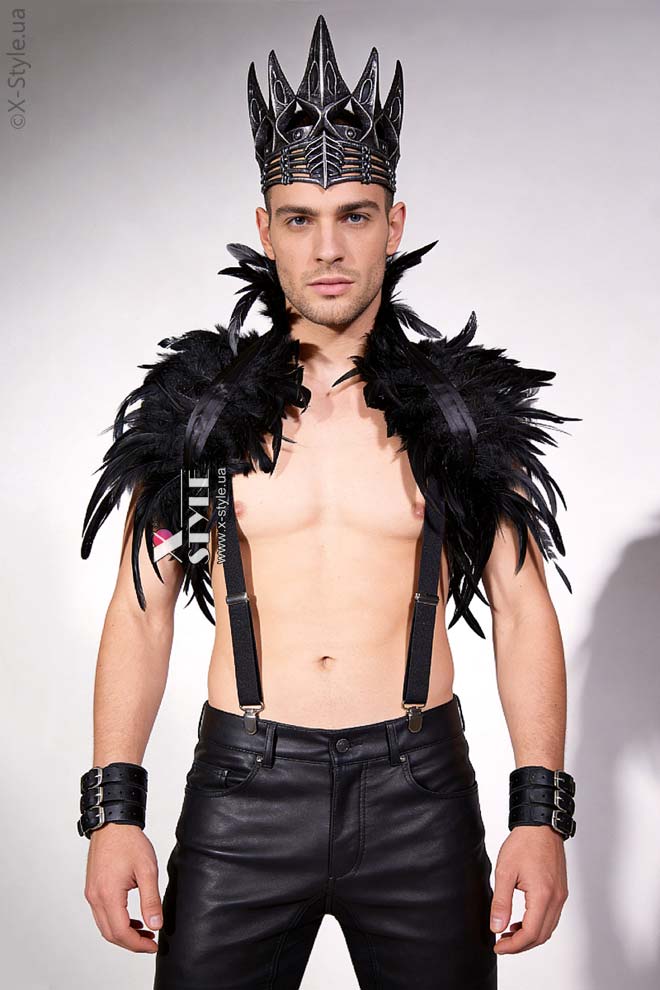Мужской карнавальный костюм Raven Prince (221017)