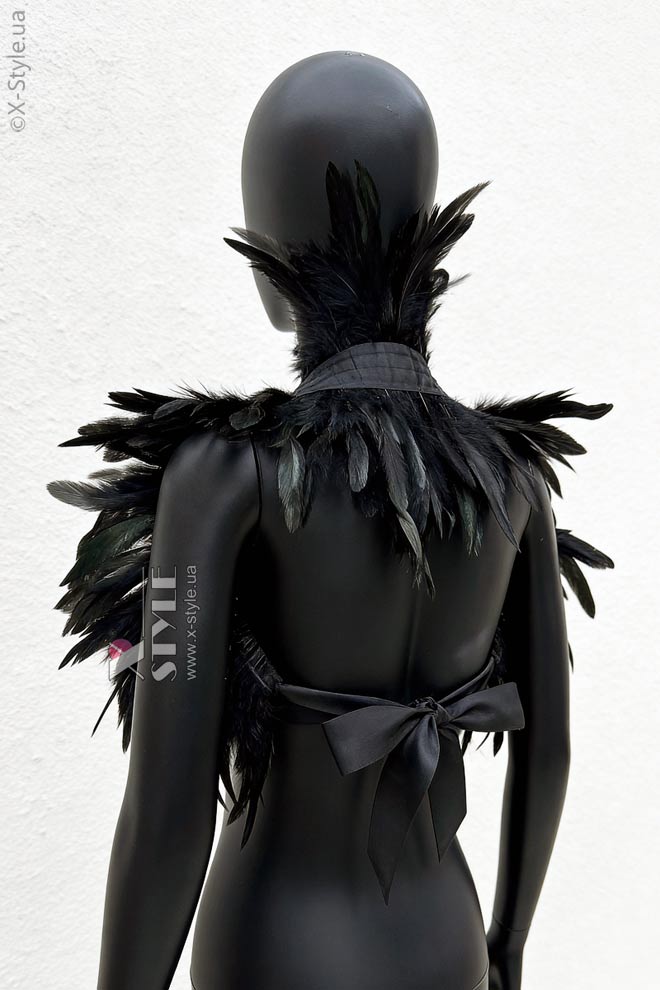 Мужской карнавальный костюм Raven Prince
