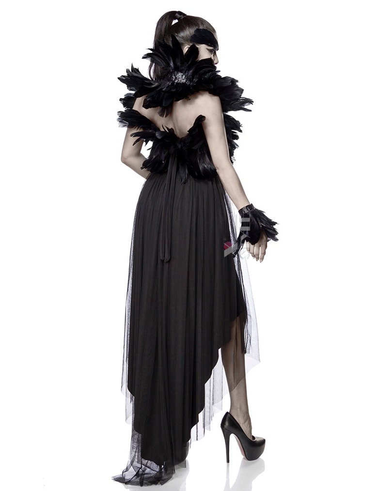 Witch Crow Carnival Costume