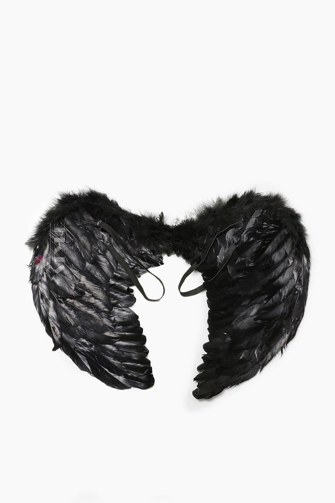 Feather Angel Wings in Black CC20036 (54x42)